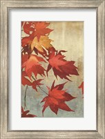 Framed Maple Leaves I