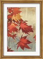 Framed Maple Leaves I