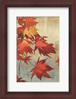 Framed Maple Leaves I