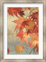 Framed Maple Leaves II