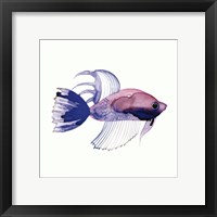 Framed Purple Fish
