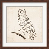 Framed Owl I
