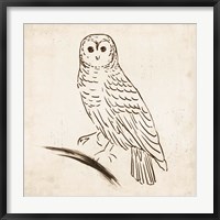 Framed Owl I