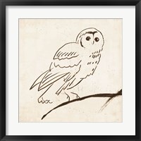 Framed Owl II