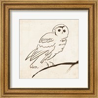 Framed Owl II