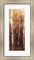 Framed Birch Forest II - Mini
