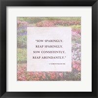 Framed Sow Sparingly - floral frame