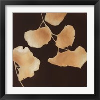 Framed Leaves of Origin I