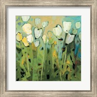 Framed White Tulips I