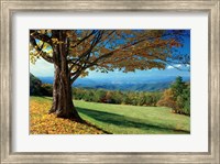 Framed Blue Ridge Beauty