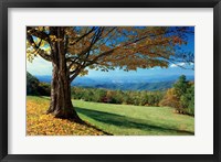 Framed Blue Ridge Beauty