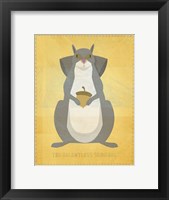 The Relentless Squirrel Framed Print