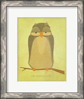 Framed Sensible Owl