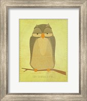 Framed Sensible Owl