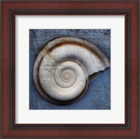 Framed Snail