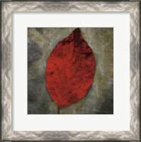 Framed Red Dogwood