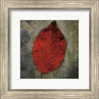 Framed Red Dogwood