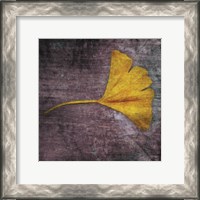 Framed Gingko 4