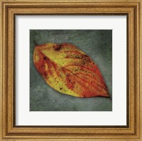 Framed Dogwood Yellow