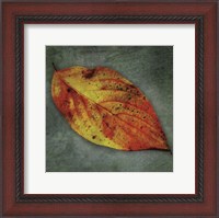 Framed Dogwood Yellow