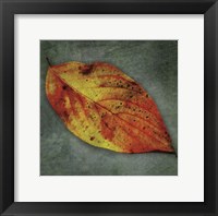 Dogwood Yellow Framed Print