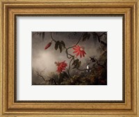Framed Passion Flowers and Hummingbirds, about 1870-83
