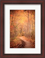 Framed Winding Autumn Path