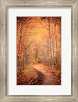 Framed Winding Autumn Path