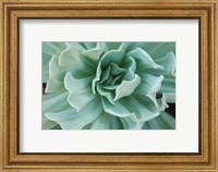 Framed Topsy Turvy