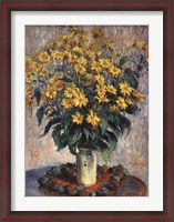 Framed Jerusalem Artichoke Flowers, 1880