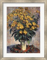 Framed Jerusalem Artichoke Flowers, 1880