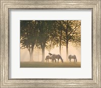 Framed Horses in the mist