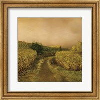 Framed Sunset Cornfield