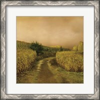 Framed Sunset Cornfield