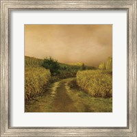 Framed Sunset Cornfield