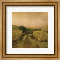 Framed Sunset Cornfield