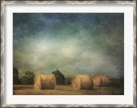 Framed Hay Rolls