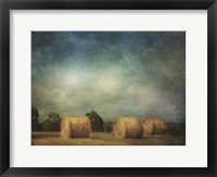 Framed Hay Rolls