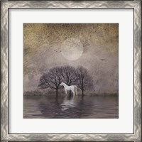 Framed White Horse in Pond