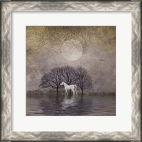 Framed White Horse in Pond