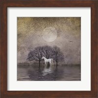 Framed White Horse in Pond
