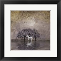 Framed White Horse in Pond