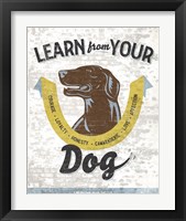 Framed Learn From Your Dog