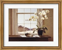 Framed Orchids with Teapots