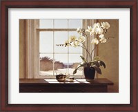 Framed Orchids with Teapots