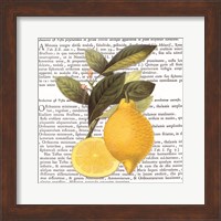 Framed Citrus Edition I