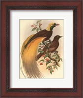 Framed Golden Bird of Paradise