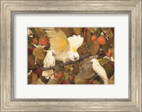 Framed Persimmons & Cockatoos