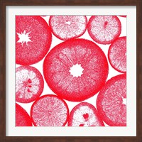 Framed Red Lemon Slices