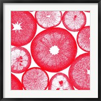 Framed Red Lemon Slices